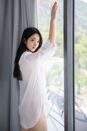 《忠犬》在线观看_免费观看